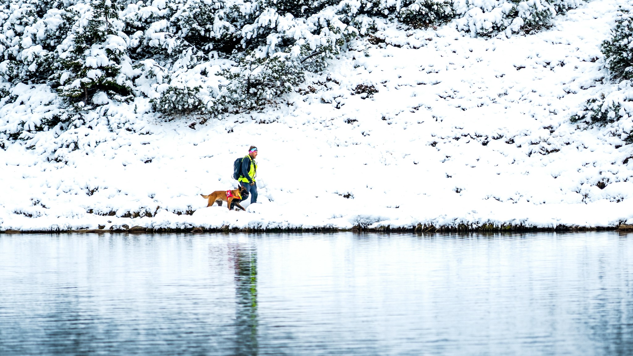 kynologicka rallye memorial stefana zavackeho 